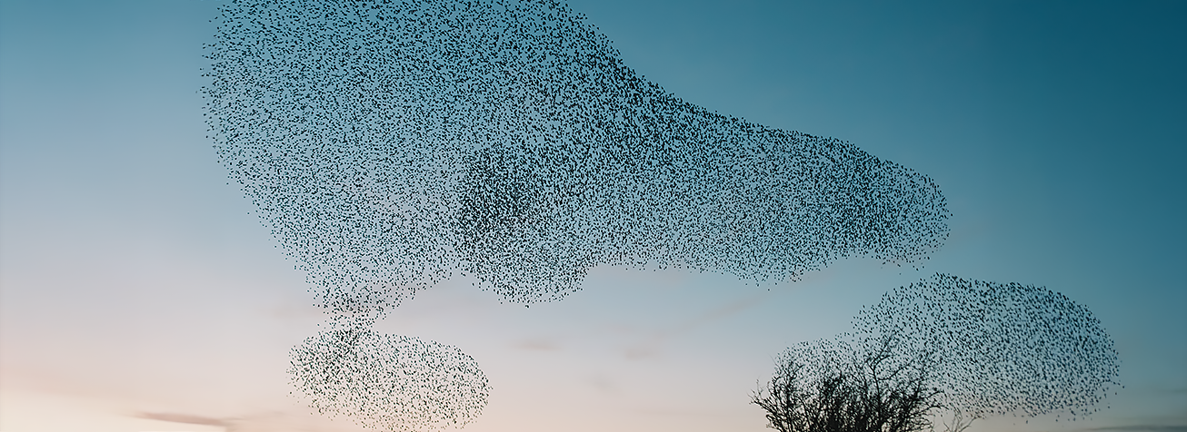Migrating to AWS Cloud